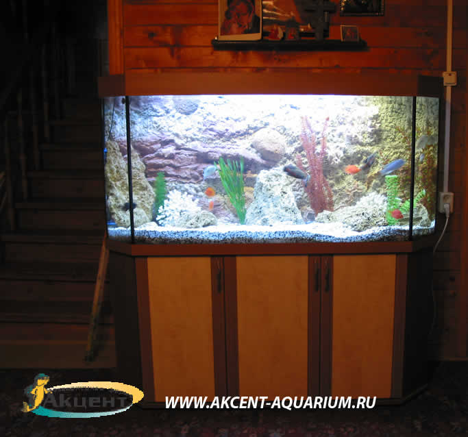 Акцент-аквариум,аквариум 400 литров